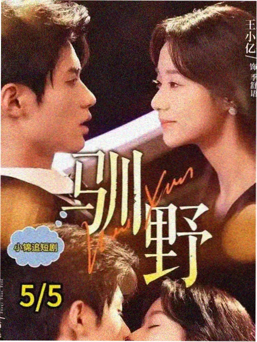 半城烟雨热播电视剧全集在线观看封面